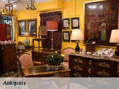 Antiquaire Pyrénées-Orientales