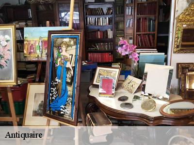 Antiquaire Pyrénées-Orientales